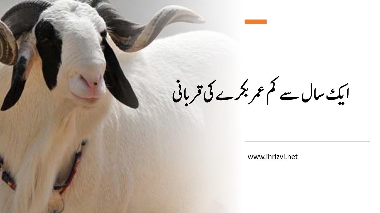 ایک سال سے کم عمر بکرے کی قربانی